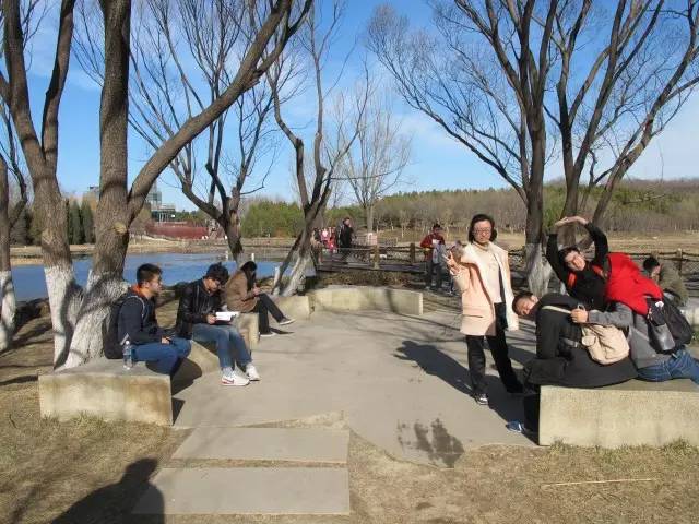 (清莲亭)